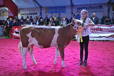 Biggest Cattle Exhibition Austria 9.-10.4.2016_1