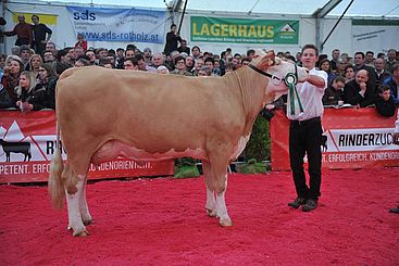 Biggest Cattle Exhibition Austria 9.-10.4.2016_4